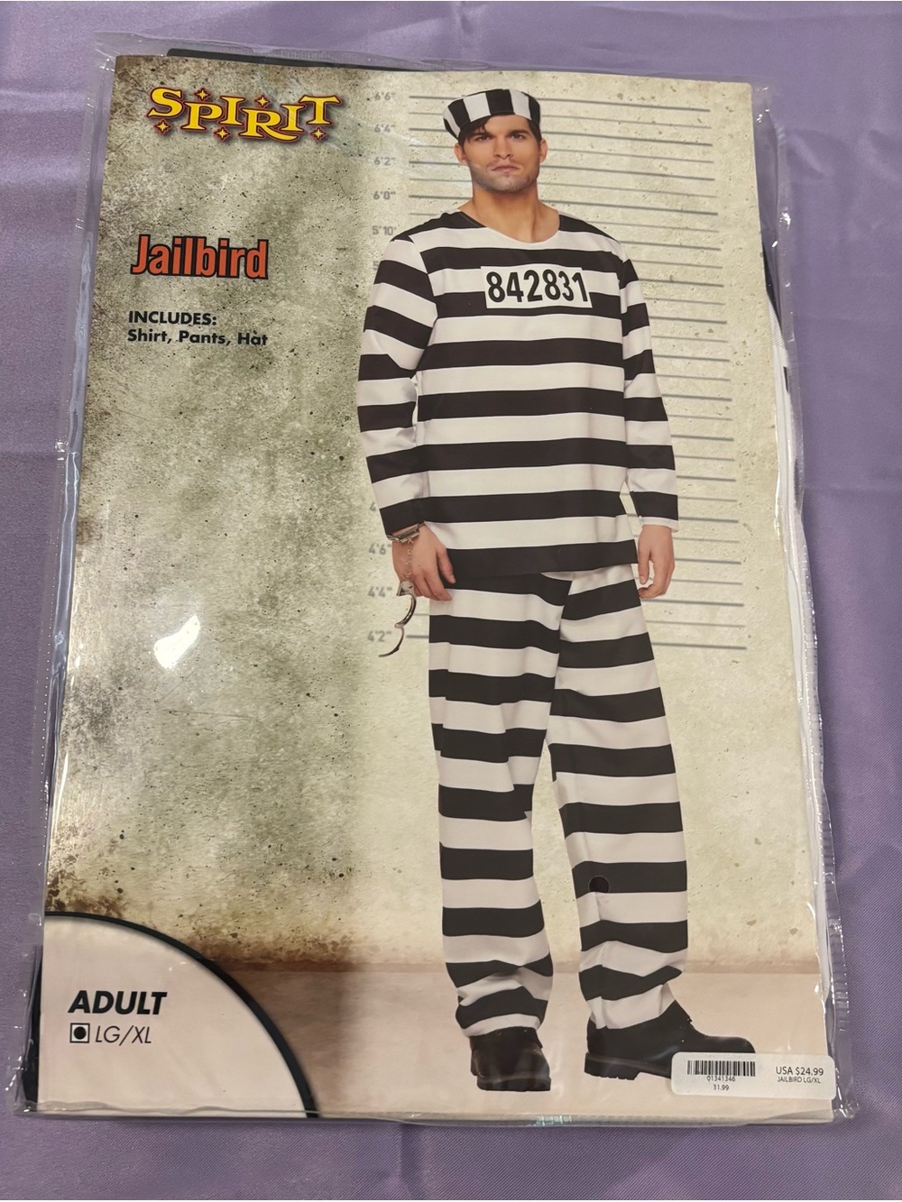Classic Black & White Striped Jailbird Costume